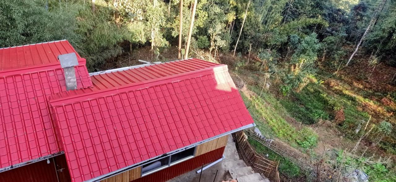 Joe'S Farm Darjeeling (West Bengal) Exterior foto